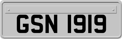 GSN1919