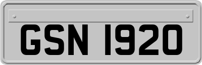 GSN1920