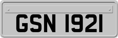 GSN1921