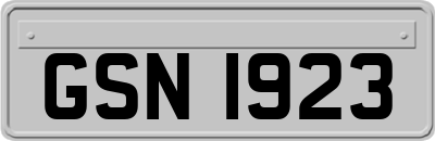 GSN1923