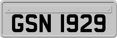 GSN1929