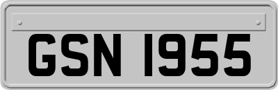 GSN1955