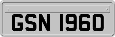 GSN1960