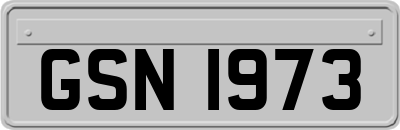 GSN1973