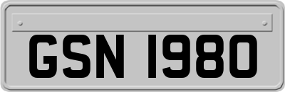 GSN1980