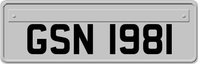 GSN1981