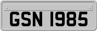 GSN1985