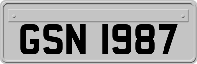 GSN1987