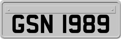 GSN1989