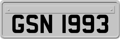 GSN1993