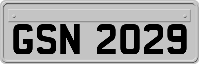 GSN2029