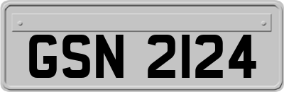 GSN2124