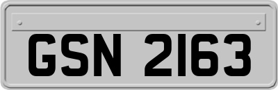 GSN2163