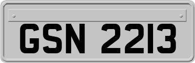 GSN2213