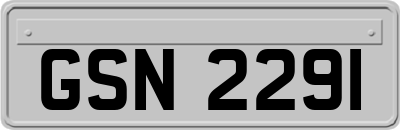 GSN2291