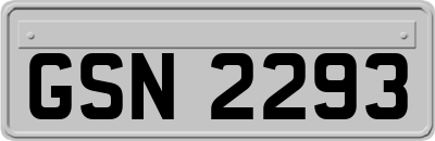 GSN2293