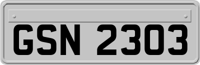 GSN2303
