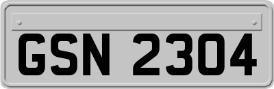 GSN2304