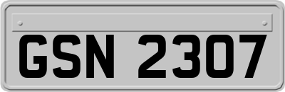 GSN2307