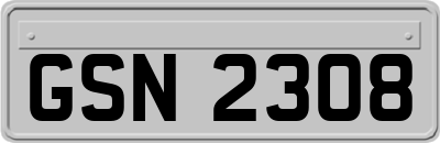 GSN2308