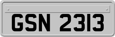 GSN2313