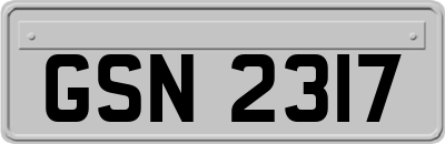 GSN2317