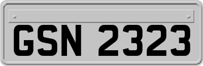 GSN2323