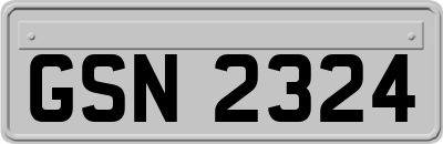 GSN2324