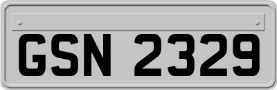 GSN2329