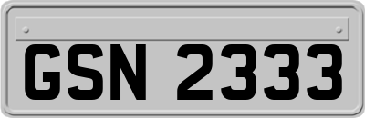 GSN2333