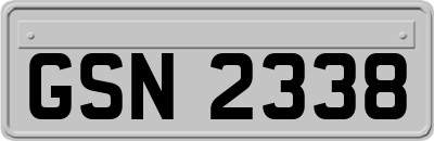 GSN2338