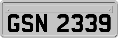 GSN2339