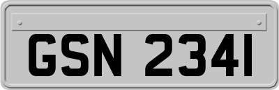 GSN2341