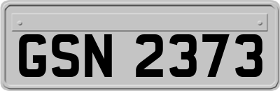 GSN2373