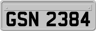 GSN2384