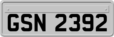 GSN2392