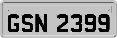 GSN2399