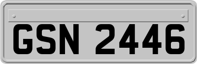 GSN2446