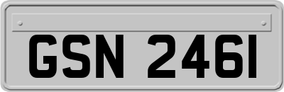 GSN2461