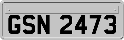 GSN2473