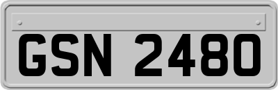 GSN2480