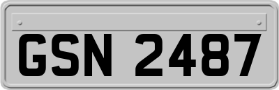GSN2487