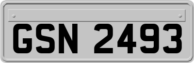 GSN2493