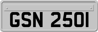 GSN2501