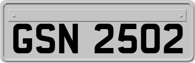 GSN2502