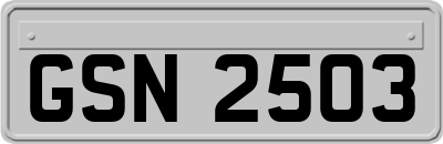 GSN2503