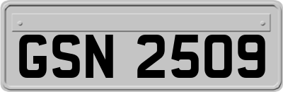 GSN2509