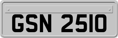 GSN2510