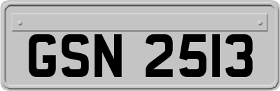 GSN2513