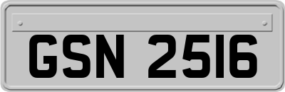 GSN2516